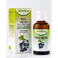 Biover Ribes Nigrum Zwarte Bes