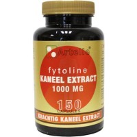 Artelle Fytoline Kaneelextract 1000 mg