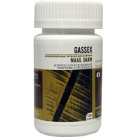 Gassex Ayurveda Health