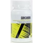 Gokshura Tribulus terrestris Ayurveda Health