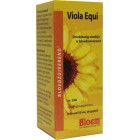 Bloem Viola Equi