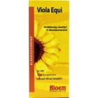 Bloem Viola Equi