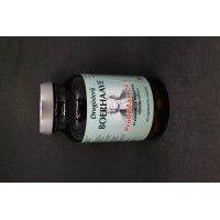 Boerhaave probiotica  probimax 24/5