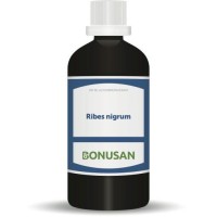 Bonusan Ribes nigrum Zwarte Bes