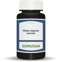  Bonusan Ribes nigrum