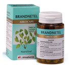 Brandnetel groot