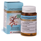 Lithothamnium groot