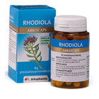 Rhodiola