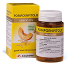 Pompoenpitolie