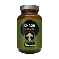 Hanoju  bv Chaga paddenstoel