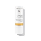 Lippenverzorgingsstift Dr.Hauschka