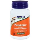 Probiotica 8 miljard acidophilus en bifidus Now