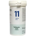 Schussler Zouten No 11 Silicea