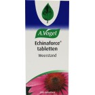 Echinaforce tabletten dr Vogel