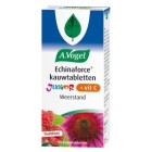 Echinaforce junior + vitamine C kauwtabletjes a. vogel