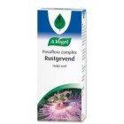 Passiflora complex Dr Vogel