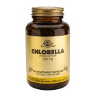 Chlorella