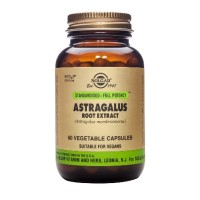 Astragalus Root Extract