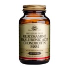 Glucosamine Hyaluronic Acid Chondroitin MSM