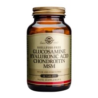 Glucosamine Hyaluronic Acid Chondroitin MSM