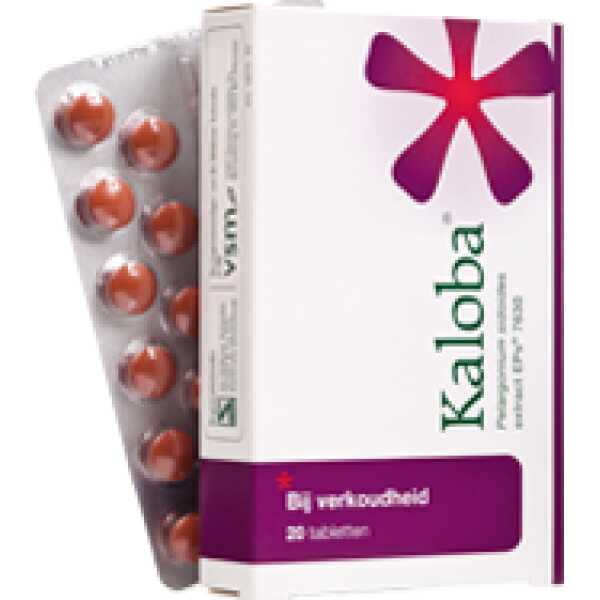kaloba_tabletten