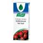 crataegus tabl