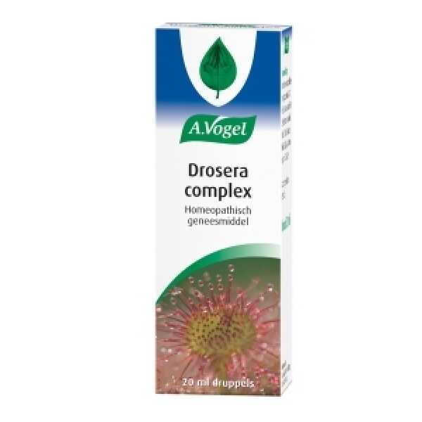 drosera
