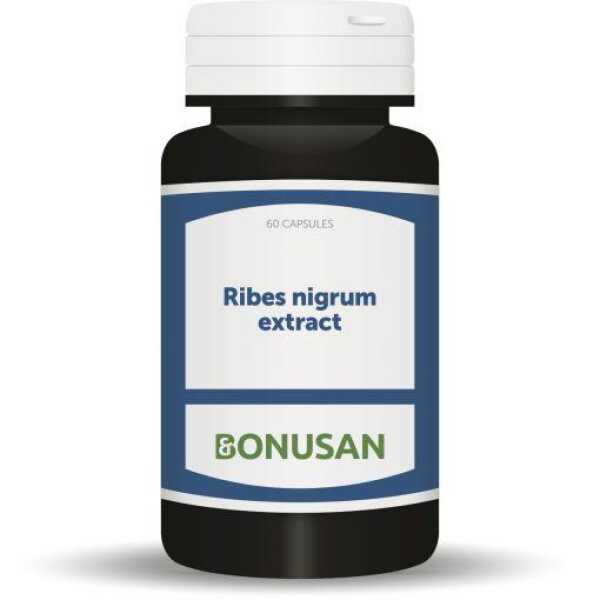 ribes