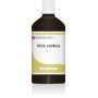 vitis